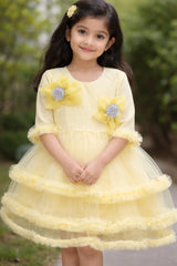 Girls Party Wear Net Frock Dress