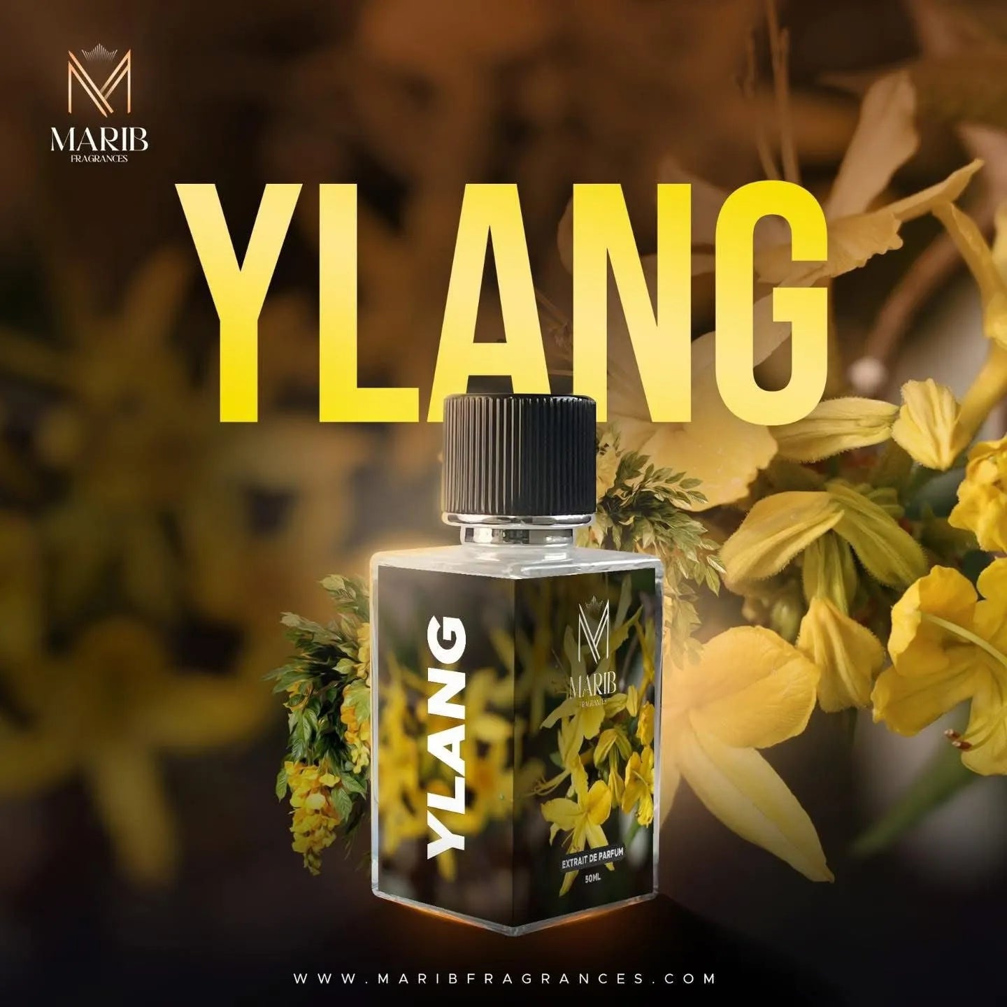 YLANG Perfume - 50 ML - Brands Kahani